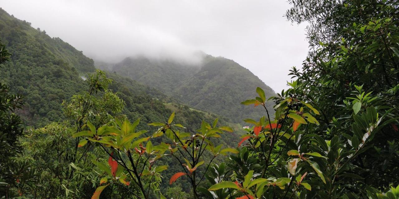 מלון Faial da Terra Aldeia Do Sanguinho מראה חיצוני תמונה